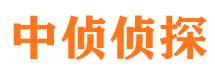 龙子湖找人公司